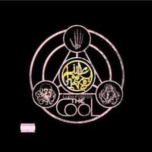 Meet your Posher, Gavin